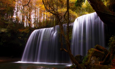 природа водопад река деревья лес вода