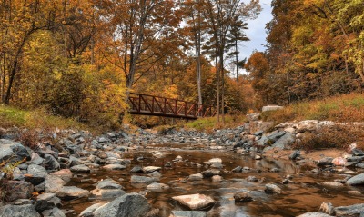 речка мост деревья осень