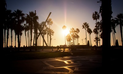 Закат солнце пальмы Sunset the sun palm trees