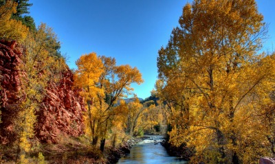 природа деревья река осень nature trees river autumn