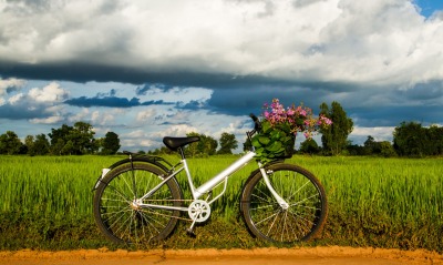 природа велосипед травав nature bike travel