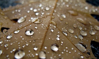 капли лист drops sheet