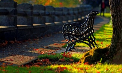 природа лавка осень скамейка трава nature shop autumn bench grass