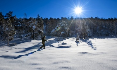 лыжник лес снег зима