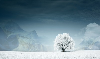 дерево снег tree snow