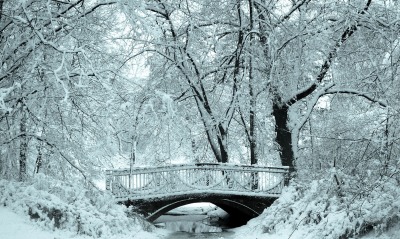 зима мост речка снег winter the bridge river snow