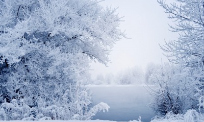 зима иней снег деревья winter frost snow trees