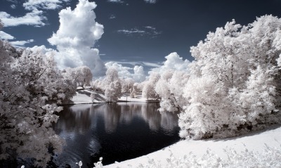 иней снег деревья озеро зима frost snow trees the lake winter