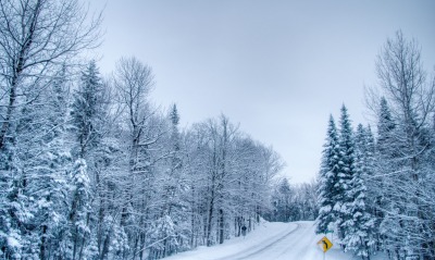 дорога зима деревья road winter trees