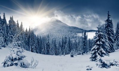 снег иней ели гора snow frost ate mountain