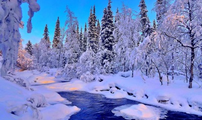 зима речка снег winter the river snow