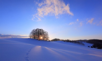 снег рассвет зима snow dawn winter