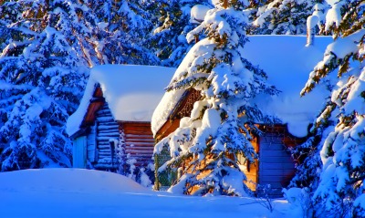 снег ели домики snow ate houses