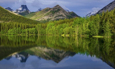 отражение лето лес горы вода