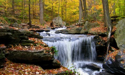 природа водопад осень листья деревья