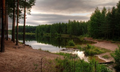 природа деревья озеро