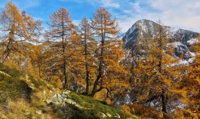 природа деревья горы скалы