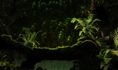 папоротник лес мрак