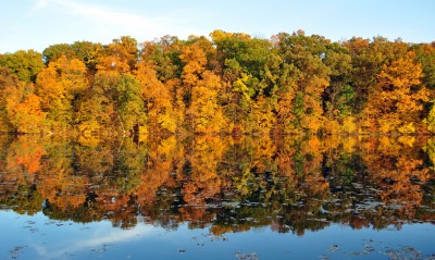 природа деревья река отражение осень