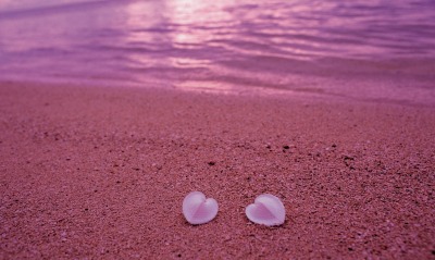 песок розовый лепестки
