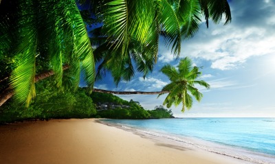Море пальмы пляж песок