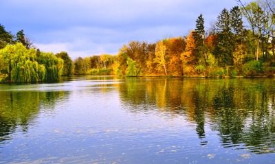 Лес озеро осень