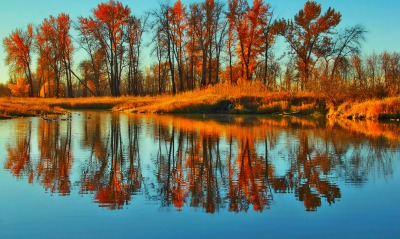 природа река отражение деревья