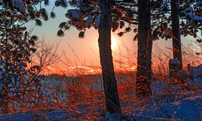 снег деревья солнце заход