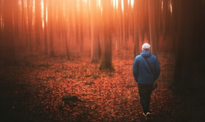 человек лес осень одиночество