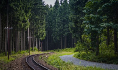 железная дорога тропинка лес
