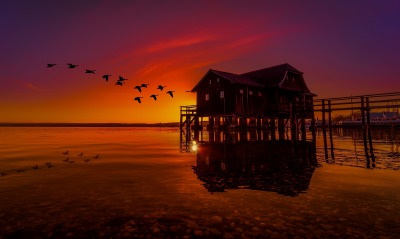 закат дом над водой утки сумерки