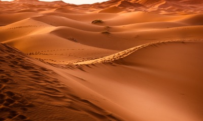 пустыня дюны барханы красный песок