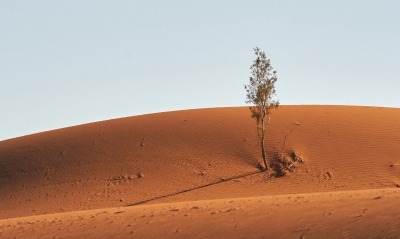 пустыня, дюна