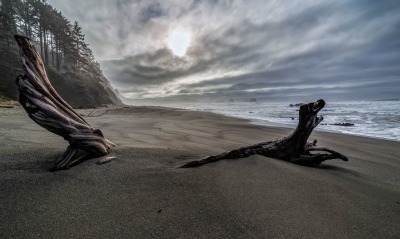 побережье песок коряга облака прибой