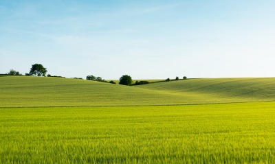 поле лето трава зелень холмы