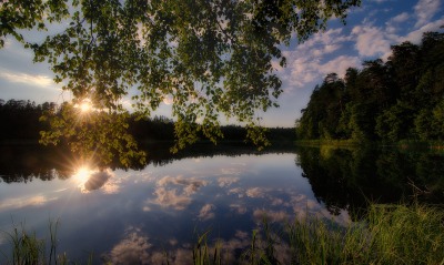 озеро рассвет ветви утро лес