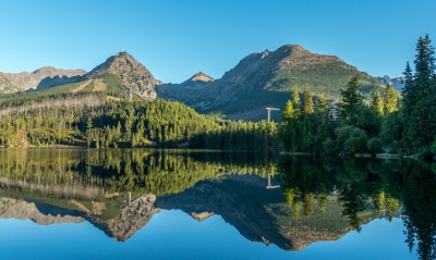 озеро лес отражение штиль