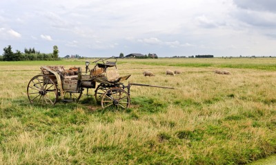 Старая карета в поле