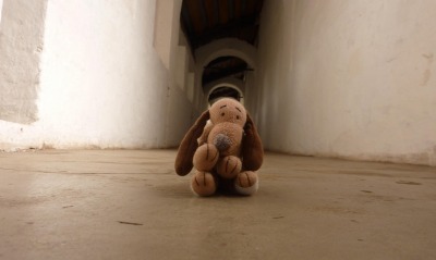 Плюшевый собачка в коридоре