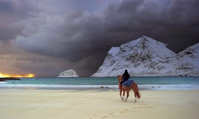 Лошадь берег закат