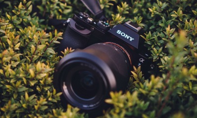 камера фотоаппарат SONY кусты техника