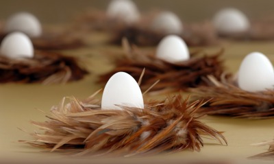 яйцо гнездо egg the nest