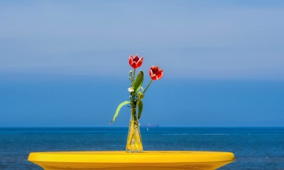 тюльпаны ваза море