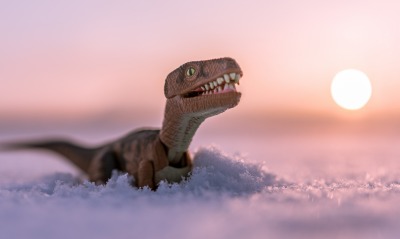 динозавр, снег