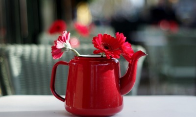 чайник цветы стол
