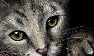 рисованная мордочка кота