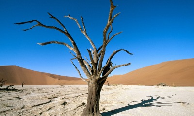Namib-Naukluft Park, Namib Desert, Namibia, Africa