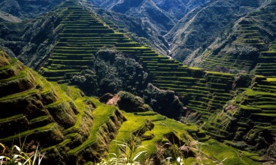Ancient Rice Terraces, Philippines