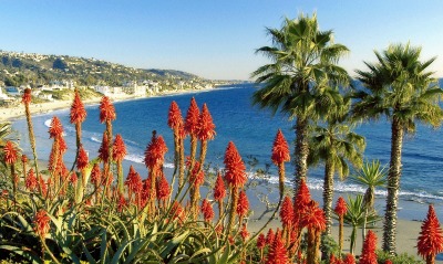 Laguna Beach Landscape, California