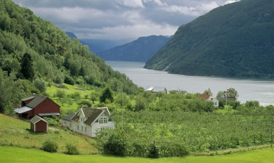 Urnes, Sognefjord, Norway
